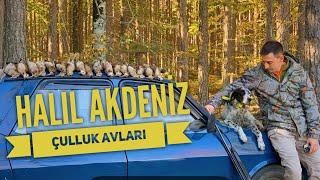 ÇULLUK AVI - MÜKEMMEL FERMALAR - TOZ ÇIKARTAN ATIŞLAR - WOODCOCK HUNTİNG - YAKICI TEAM 2024