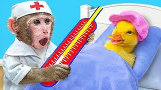 KiKi Monkey pretend Doctor Check Up Health to Take Care of Sick Baby Ducklings | KUDO ANIMAL KIKI