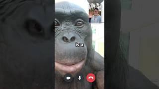 I Can’t believe he answered…