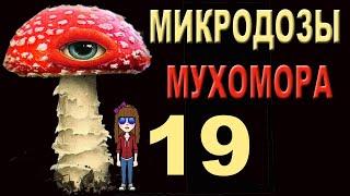 19  Amanita Microdosing Protocol. English CC. Протокол Микродозирования Мухомором.  баба Маша.