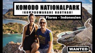 Tagestour Komodo Nationalpark - Padar Island, Pink Beach, Schnorcheln und Komodowarane hautnah!