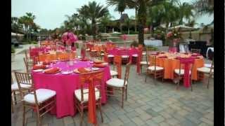 Your Saddlebrook Resort Wedding