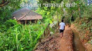 झऱ्याच्या पाण्यावर"सुपारी-मसाल्याची"200वर्ष जुनी बागायत|Ecological Farming in Konkan