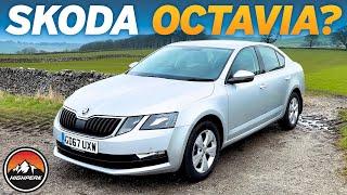 Should you buy a Skoda Octavia? (Test Drive & Review 2013 - 2020 1.5 TSI)