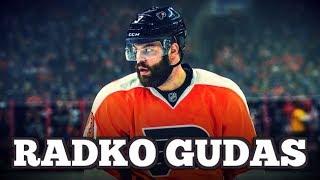 The Best of Radko Gudas || Animal