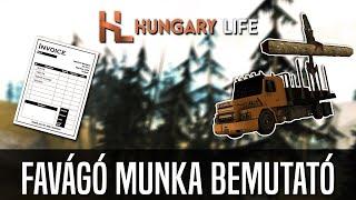 Hungary Life MTA- Favágó Munka bemutató