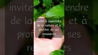 La permaculture nous invite à apprendre de la nature, tout en préservant les éco-systèmes en place 