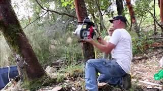 Winching trees up a steep incline with a PCW5000!