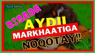 Qisada Aygi Runta Sheegay || Yaab || Xays Media ||