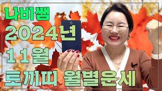 2024 11월 토끼띠 나비쌤의 월별운세  연애운/직장운/사업운/금전운/대인관계/조언/수호신/행운의컬러