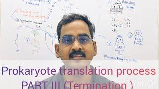 Prokaryote translation process Part III (Termination)