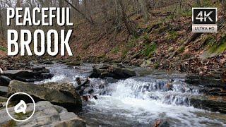 Peaceful Brook in Forest 4K UHD - Beautiful HD Nature Video - Relaxation, Study, Deep Sleep