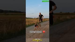 ️ Guard dogs are more than protectors #dog #germanshepherd #k9 #puppy #belgianmalinois