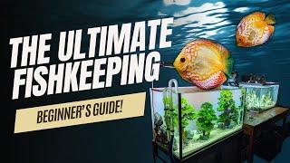 MASTERING the Art of Fishkeeping: Your BEGINNER’s Guide!