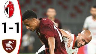 Bari-Salernitana (1-1) Tutti i gol e gli highlights