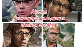 Могила знаменитого Шурика. Александр Демьяненко. Помним. Скорбим. #санктпетербург #2023 #шурик