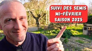 Suivi de tous les semis - Mi-février 2025