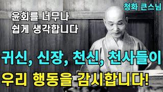귀신이나 신장 천신 천사들이 우리의 말과 행동을 감시합니다 | 윤회를 너무나 쉽게 생각합니다 관세음보살의 무외시인 |청화스님 법문