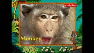 The Story Of AppleTreeEducation My First 100 Animals