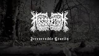 Absorption - Irreversible Cruelty (Official Lyric Video) | Talheim Records Germany