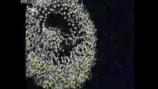Giant Sunflowers by Metamatics  (nightmix edit)