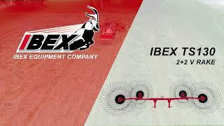 Ibex TS130 2+2 V Rake