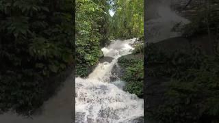 Best Waterfall Nearby Guwahati | must Visit|#waterfall #meghalaya #guwahati