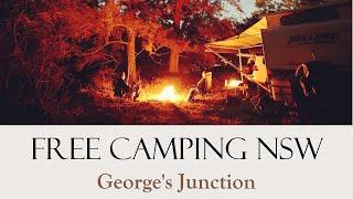 FREE CAMP NSW Georges Junction on the Macleay River