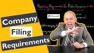 Public Company Filing Requirements for the US