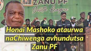 Honai Mashoko ataurwa naChiwenga avhundutsa Zanu PF 