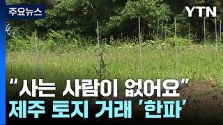 "내놔도 사는 사람이 없어요"...제주 토지 거래 '한파' / YTN