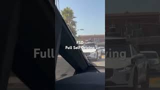 CYBERBEAST FSD Full Self Driving