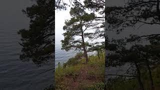 #море #лес #гармония