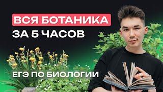 ВСЯ БОТАНИКА ЗА 5 ЧАСОВ｜NeoFamily