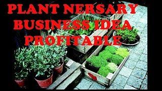 How to start a plant nursery!! nursery plant business in Hindi!!