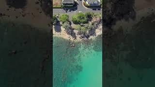 Summer previews 