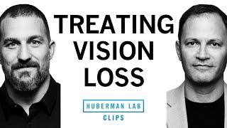 Cause of Vision Loss & Treating Vision Loss | Dr. Jeff Goldberg & Dr. Andrew Huberman