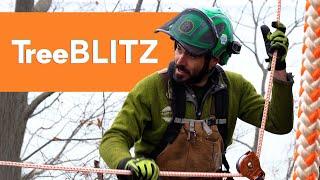 Best Arborist Rigging Rope | Right Rope TreeBLITZ