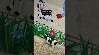 الست فوزيه فاضل # مدرسة المسرات # البصرة # قضاء المدينه