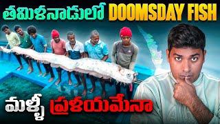 Doomsday Fish Spotted in India Near Tamil Nadu, What Happens Next In 2025 | Latest Facts | VR Raja