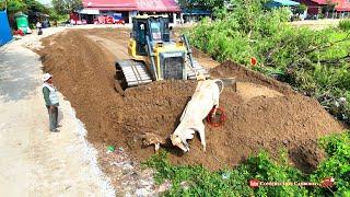 Nicely Complete Sand Filling by Skills Shantui DH17c2 Dozer Pushing Sand And Dump Truck Dumping Sand