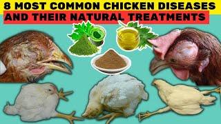 8 MOST COMMON DISEASES OF CHICKEN & THEIR NATURAL TREATMENTS | 100% Recovery by using these TREATS