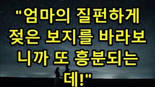 실화사연 어떤 날은 하루 종일 소파에 누워 텔레비전만 봐요 단연 일순위 / エンジン / 孔子 /음악