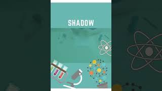 Leap Into Science: Shadow and Light