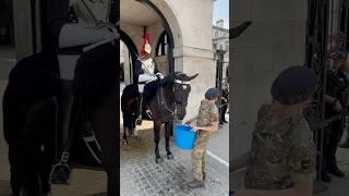 Royal Water Supply: Keeping the King's Horse Cool in Scorching Heat! " #Shorts