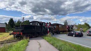 Random Railroad crossing Live 27 (Sunday Railfanning)