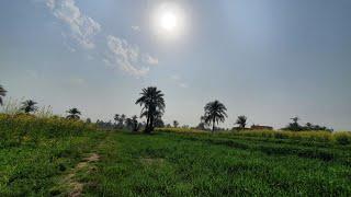 Beautiful Village Of Pakistan | @MarkhorRider