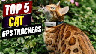 Top 5 Best Cat GPS Trackers for 2024: A Comprehensive Review