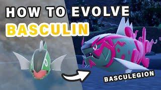 How to Evolve Basculin into Basculegion ► Pokemon Scarlet & Violet