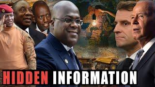 Renown Professor Exposes the Truth About Africa's Growing Influence